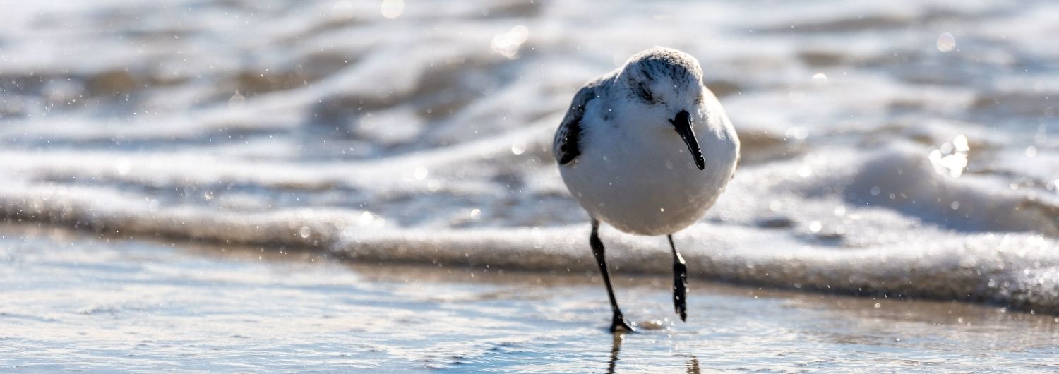 pobyt zdrowotny ustka
