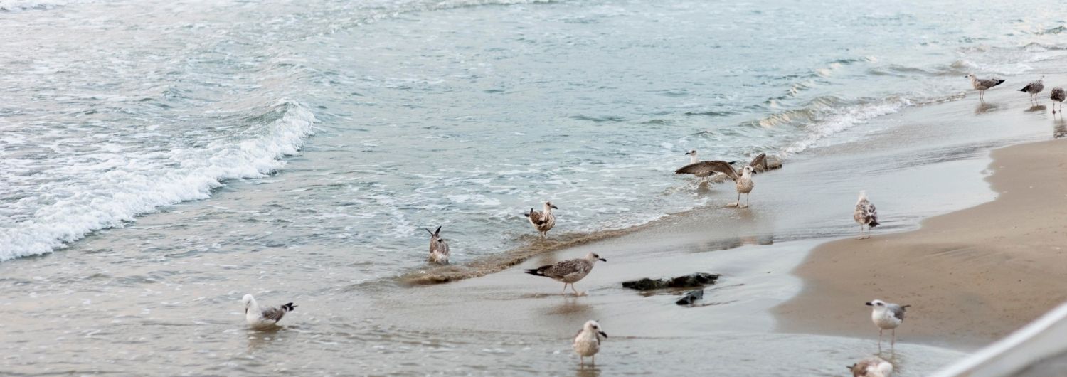 pobyt nad morzem w ustce