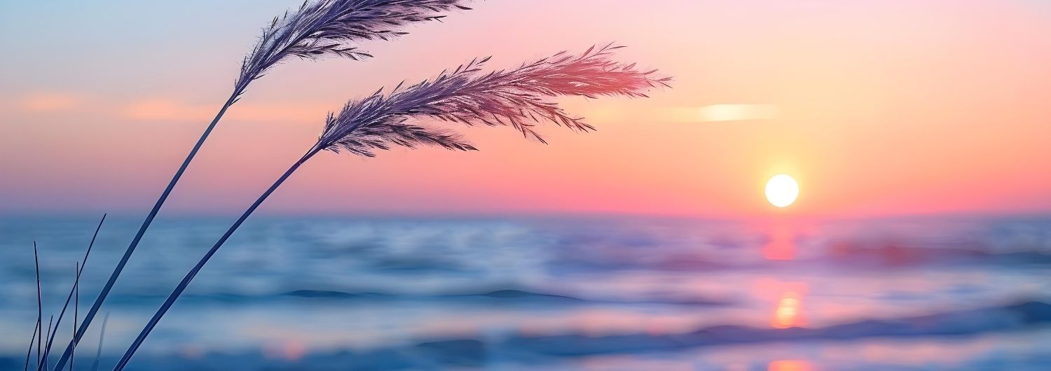 pobyt zdrowotny nad morzem w ustce